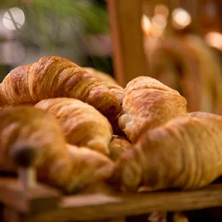 Sorat Insel-hotel فندق