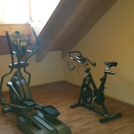 Sorat Insel-hotel Отель Регенсбург
