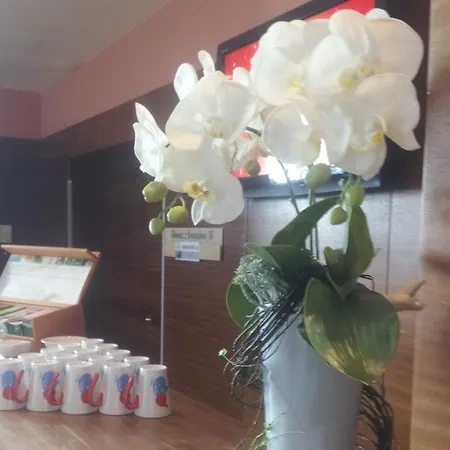 Sorat Insel-hotel ريغنسبورغ