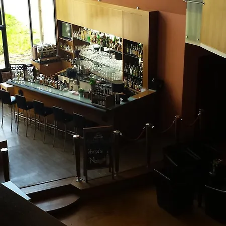 Sorat Insel-hotel 4* Регенсбург